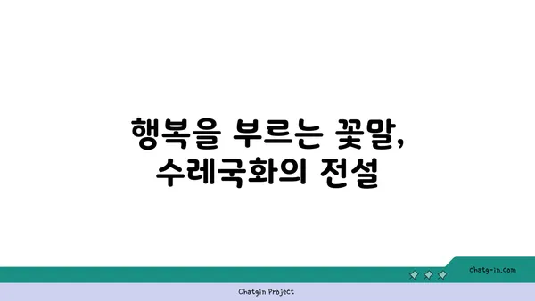 수레국화의 매력에 빠지다| 꽃말, 전설, 재배 정보 | 야생화, 꽃, 식물, 정원