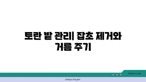 토란 재배 성공 가이드| 씨앗부터 수확까지 완벽한 팁 | 토란 재배, 토란 키우기, 토란 농사