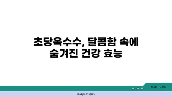 초당옥수수| 만성 질환 퇴치의 희망? | 건강, 항산화, 당뇨병, 심혈관 질환