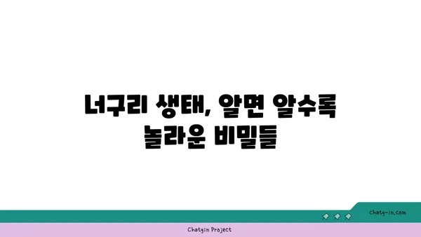 너구리의 비밀| 멸종위기 동물, 생태와 보호 | 너구리, 멸종 위기, 야생 동물, 생태 보호, 환경 문제