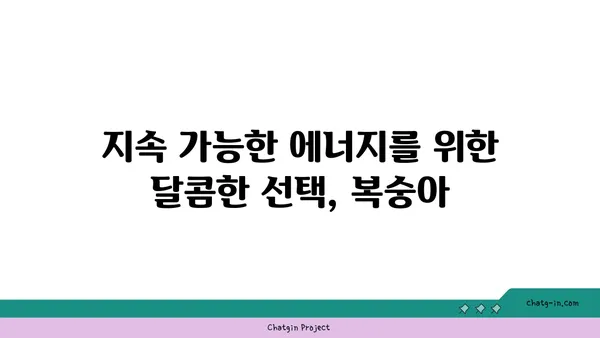 복숭아의 영양학적 폭풍우| 항산화제와 지속 가능한 에너지원 | 건강, 다이어트, 슈퍼푸드, 복숭아 효능