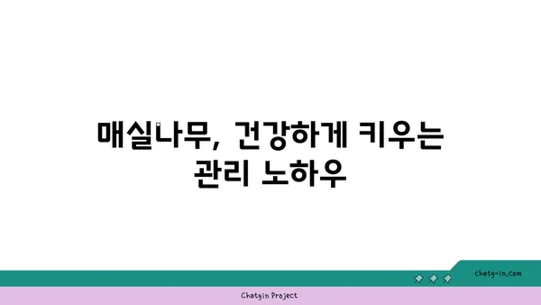 매실나무 키우기 완벽 가이드| 삽목부터 수확까지 | 매실나무, 재배, 삽목, 관리, 수확