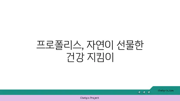 프로폴리스의 놀라운 효능 7가지| 건강 관리, 면역력 강화, 항균 효과까지 | 프로폴리스 효능, 프로폴리스 건강, 천연 항생제