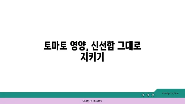 토마토 신선하게 오래 보관하는 방법| 포장 & 보관 꿀팁 | 토마토 보관, 영양 유지, 신선도 유지