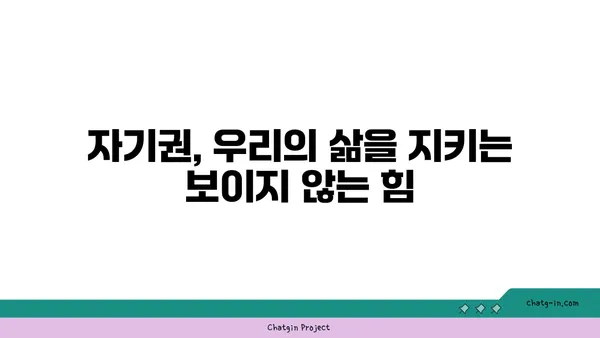 지구를 지키는 투명한 방패| 자기권과 태양풍의 숨겨진 이야기 | 자기권, 태양풍, 우주 날씨, 지구 보호