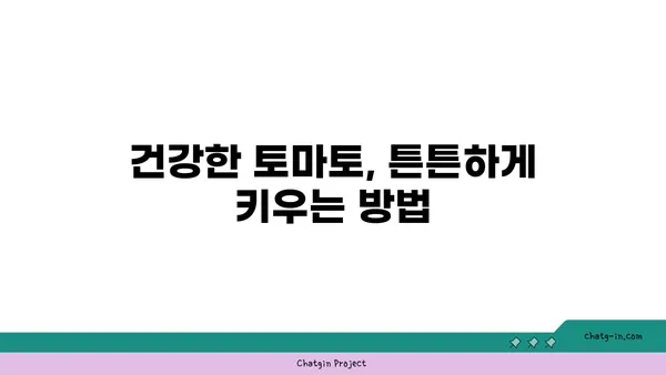 토마토 담배모자이크병, 이렇게 대처하세요! | 피해 최소화를 위한 5가지 필수 지침