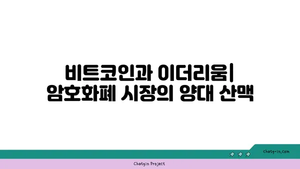 비트코인 vs 이더리움| 시장 경쟁과 공존의 미래 | 암호화폐, 블록체인, 투자 전망
