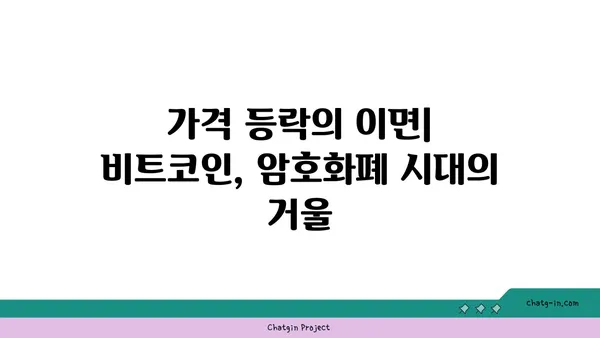 비트코인의 롤러코스터| 흥망성쇠를 거치며 배우는 교훈 | 암호화폐, 투자, 역사, 분석