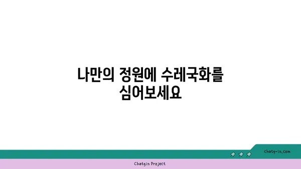 수레국화의 매력에 빠지다| 꽃말, 전설, 재배 정보 | 야생화, 꽃, 식물, 정원