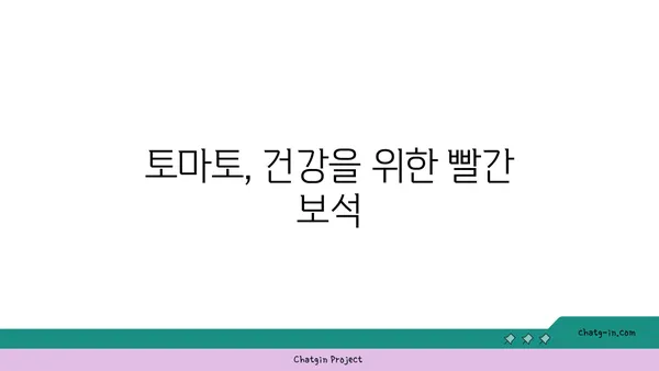 토마토의 놀라운 효능과 맛있는 레시피| 영양, 건강, 요리 팁 총정리 | 토마토, 건강 식품, 레시피, 요리