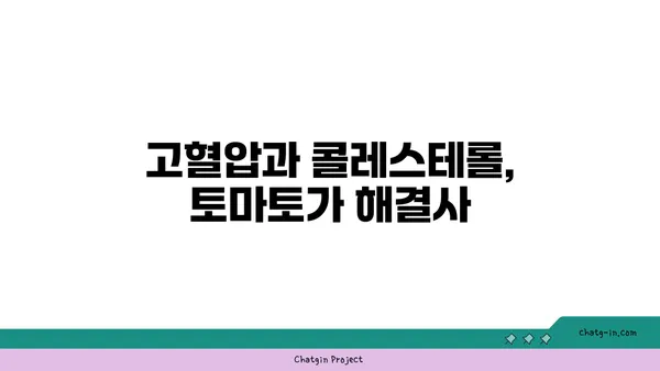 토마토| 건강한 심혈관의 비밀 무기 | 심혈관 건강, 고혈압, 콜레스테롤, 항산화 효과, 영양 정보