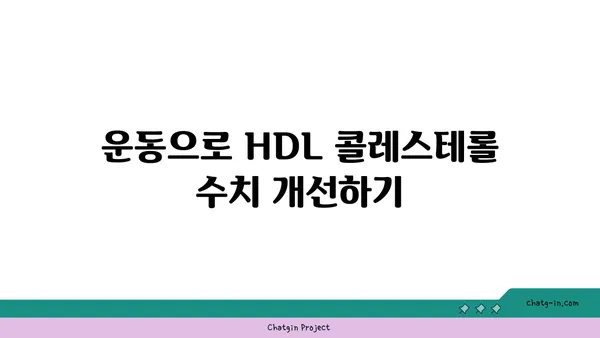 고밀도 지단백질(HDL)| 좋은 콜레스테롤, 건강하게 높이는 방법 | 고지혈증, 심혈관 건강, 콜레스테롤 관리