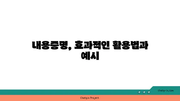 내용증명 활용 가이드| 의사소통 단절 막고 관계 개선하기 | 효과적 활용, 문서 작성, 예시, 활용법, 소송