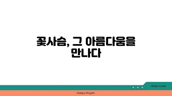 꽃사슴, 그 아름다운 비밀을 파헤쳐 보세요! | 꽃사슴, 사슴, 동물, 야생동물, 한국 동물