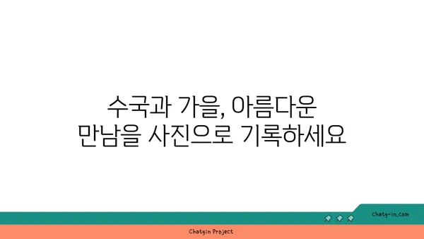 수국과 예술| 가을 풍경을 담는 아름다운 방법 | 수국 사진, 가을 풍경, 예술, 사진 팁