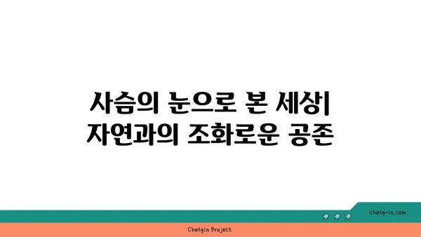 사슴의 비밀| 흥미로운 사실과 놀라운 능력 | 동물, 야생, 숲, 사슴 종류, 생태