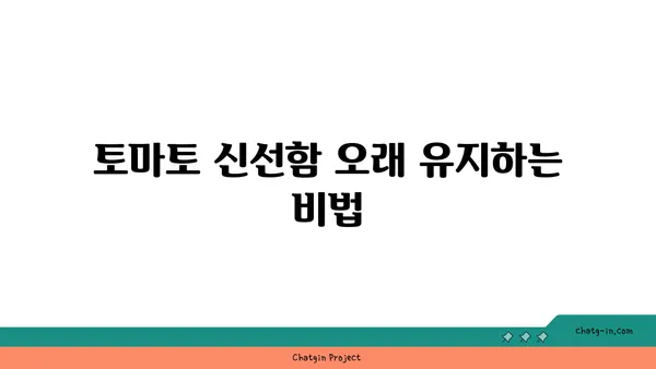 토마토 장기 저장| 계절을 넘어 풍부한 과일을 즐기는 5가지 비법 | 토마토 보관, 토마토 저장 방법, 토마토 장기 보관 팁