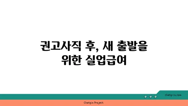 권고사직 당했나요? 실망하지 마세요! 실업급여 신청 방법 | 권고사직, 실업급여, 신청 절차, 서류, 기간