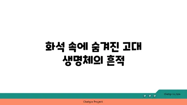 지구의 역사| 시간을 거슬러 올라가는 지질학적 여정 | 지구과학, 지질시대, 화석, 판구조론