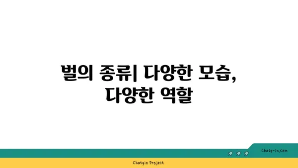 벌에 대한 모든 것| 종류, 생태, 그리고 우리와의 관계 | 벌, 꿀벌, 말벌, 곤충, 생태계, 환경