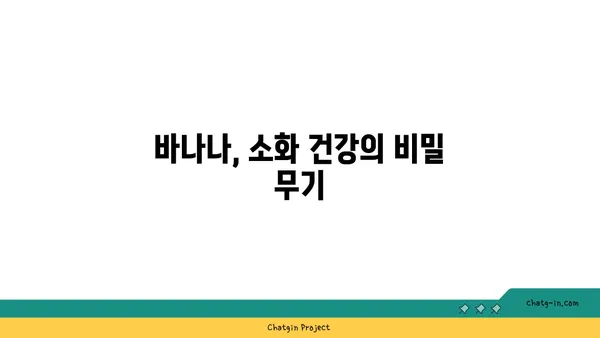 바나나로 소화 건강 개선하기| 효과적인 섭취 방법과 주의 사항 | 소화불량, 변비, 장 건강, 바나나 효능