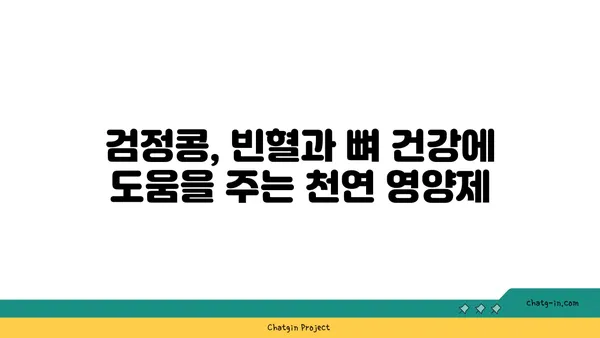 검정콩의 놀라운 영양 가치| 과학이 입증한 필수 비타민과 미네랄 | 건강 식단, 영양, 콩, 검은콩, 건강 효능