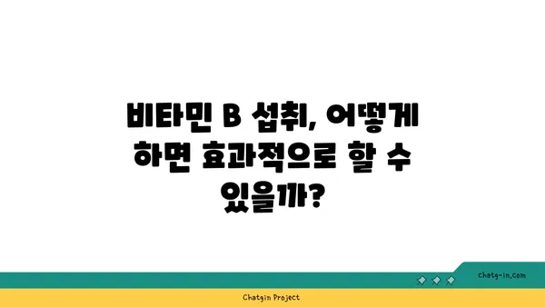 비오틴과 복잡한 비타민 B| 건강을 위한 필수 영양소 | 비타민 B 군, 효능, 부족 증상, 섭취 방법