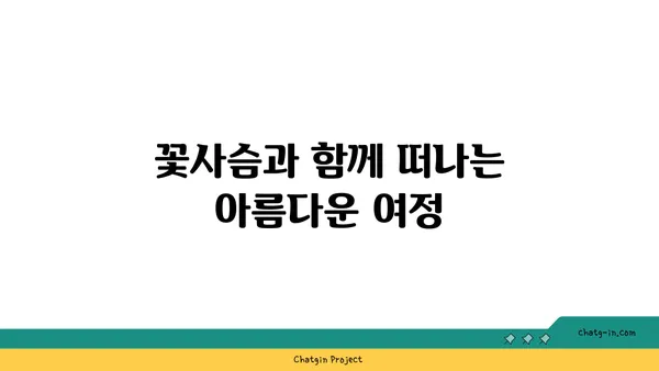 꽃사슴의 매력에 빠지다| 한국에서 만날 수 있는 꽃사슴 종류와 서식지 | 꽃사슴, 한국, 서식지, 종류, 정보