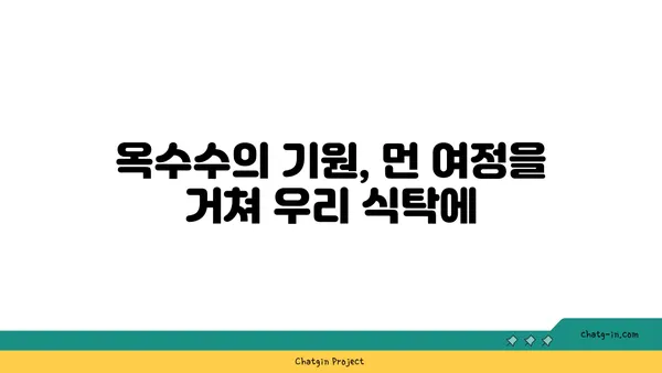 달콤한 맛의 역사| 초당옥수수의 기원과 문화적 의미 | 옥수수, 품종, 유래, 전통