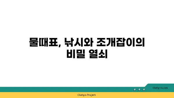 물때표 보는 방법| 초보자를 위한 상세 가이드 | 낚시, 조개잡이, 바닷물 흐름, 물때 정보