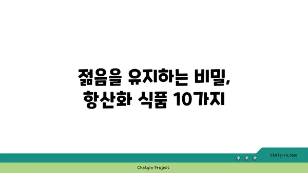 황산화 효과 높이는 10가지 식품 | 건강, 항산화, 면역력, 노화 방지