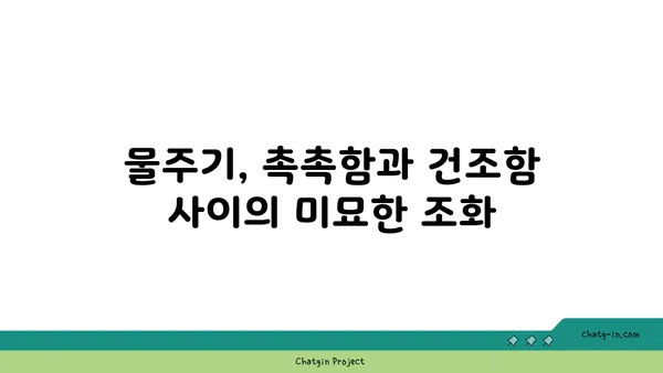 일일초 키우기 완벽 가이드| 햇빛, 물주기, 번식, 겨울나기까지 | 꽃말, 종류, 효능, 관리법