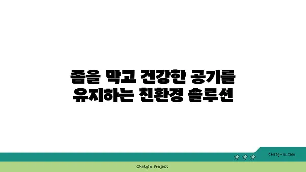 좀으로부터 집을 지키는 자연 친화적인 7가지 방법 | 좀, 천연 해충 방제, 친환경 솔루션