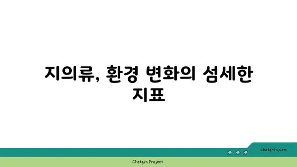 지의류의 신비로운 세계| 생태계의 숨겨진 주인공 | 지의류, 공생, 생태, 환경