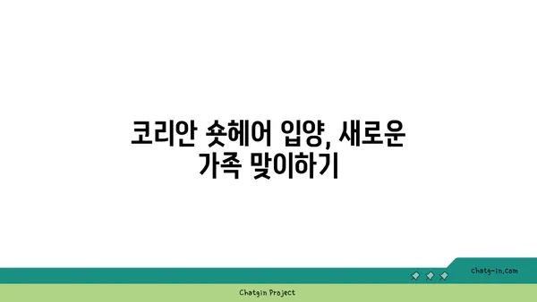 코리안 숏헤어 완벽 가이드| 성격, 건강, 관리, 그리고 입양까지 | 고양이, 품종, 특징, 키우기