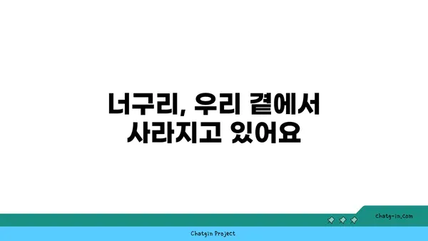 너구리의 비밀| 멸종위기 동물, 생태와 보호 | 너구리, 멸종 위기, 야생 동물, 생태 보호, 환경 문제