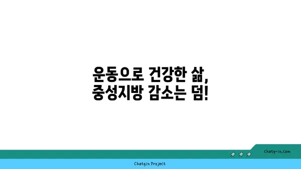 중성지방 감소를 위한 효과적인 운동 종류 5가지 | 건강, 운동, 지방 감소, 체중 감량