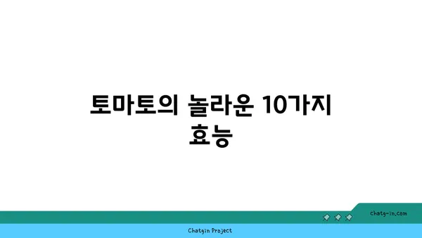 토마토의 놀라운 건강 효능| 10가지 이유와 효과적인 섭취 방법 | 건강, 영양, 식단, 항산화