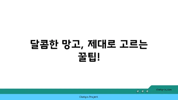 망고의 모든 것| 맛있는 망고 고르는 법부터 망고 활용 레시피까지 | 망고, 과일, 레시피, 팁, 요리