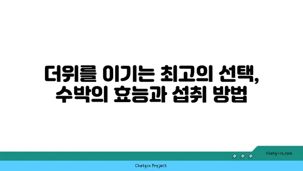 수박의 놀라운 건강 효과| 당신의 여름을 더욱 건강하게! | 수박 효능, 수박 영양, 수박 레시피