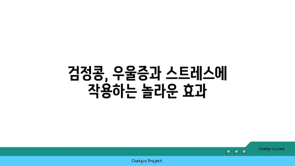 검정콩의 힘| 과학적으로 증명된 기분 향상 효과와 정신 건강 보조 | 검정콩, 기분, 우울증, 스트레스, 정신 건강