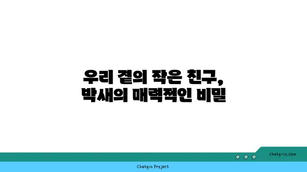 박새의 비밀| 텃새 박새의 생태와 특징 알아보기 | 박새, 텃새, 새 관찰, 조류 생태