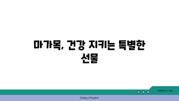 마가목 효능과 부작용 완벽 정리 | 마가목차 효능, 마가목 섭취 방법, 마가목 부작용, 마가목 재배