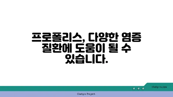 프로폴리스의 항염증 효과| 몸 속 통증과 염증 완화를 위한 자연의 선물 | 프로폴리스 효능, 염증 완화, 통증 완화, 건강 팁