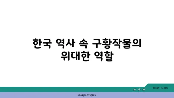 전쟁과 기근을 이겨낸 힘, 구황작물의 역사와 종류 | 한국, 역사, 식량, 재난