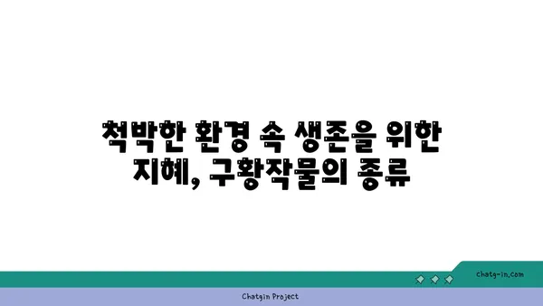 전쟁과 기근을 이겨낸 힘, 구황작물의 역사와 종류 | 한국, 역사, 식량, 재난