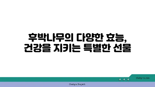 후박나무의 매력| 약효, 재배, 그리고 전설 | 나무, 약용식물, 전통 지식, 민간요법