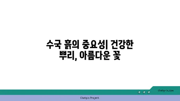 끊임없이 피는 수국을 위한 5가지 팁 | 수국 관리, 꽃 피우기, 수국 재배