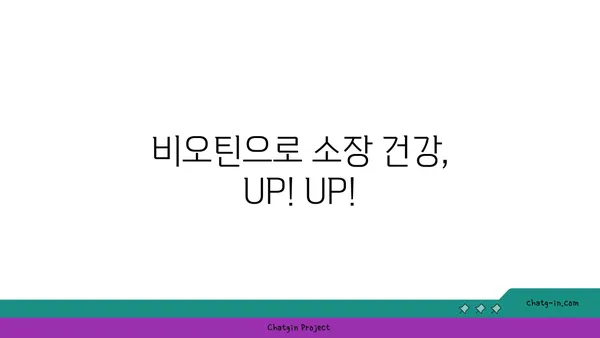 비오틴이 소장 건강에 미치는 영향| 알아야 할 5가지 효능 | 비오틴, 소장, 건강, 영양소, 장 건강