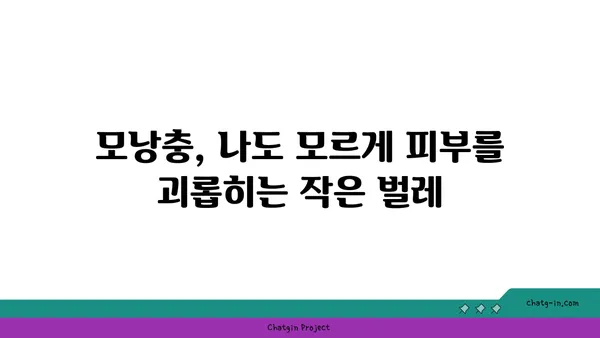 모낭충, 제대로 알고 관리하기 | 증상, 원인, 치료, 예방, 관리, 모낭충 비누